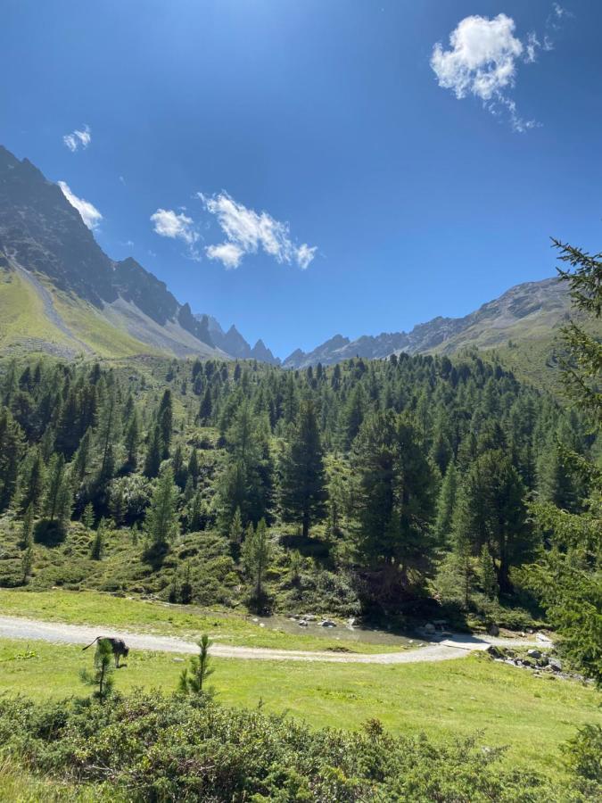 Apart Wiesenplatzl Каунерталь Экстерьер фото